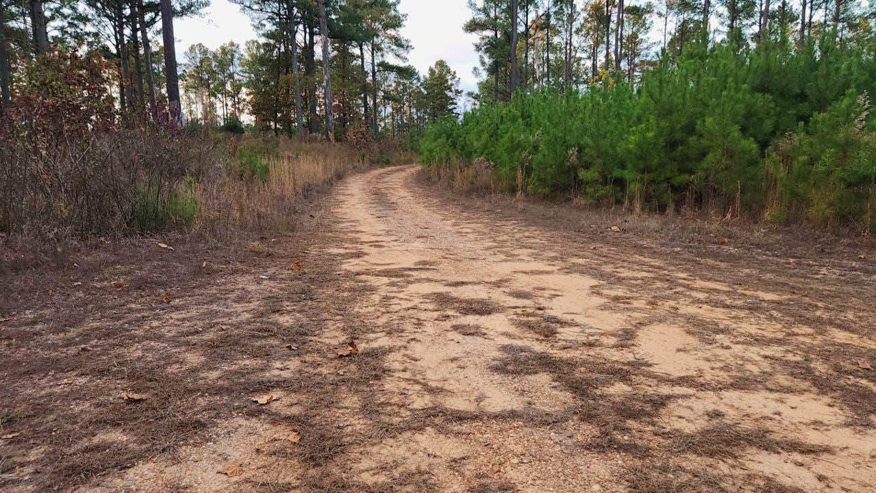 Camper submitted image from FR50240 Dispersed - 3