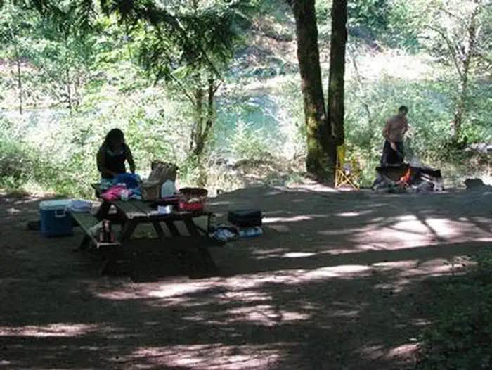 Camper submitted image from Mount Hood National Forest Sunstrip Campground - TEMPORARILY CLOSE DUE TO FIRE DAMAGE - 1