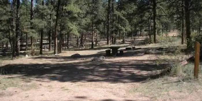 Camper submitted image from Buffalo Campground