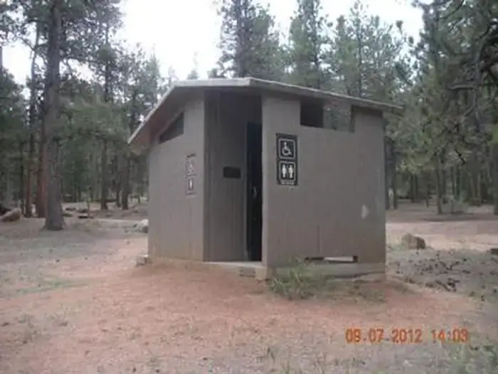 Camper-submitted photo at Buffalo Campground near Buffalo Creek, CO