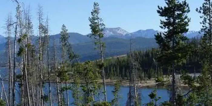 Camper submitted image from Piney Campground And Boat Launch