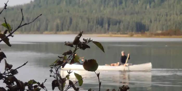 Camper submitted image from Situk Lake Cabin