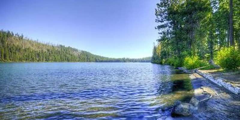 Camper submitted image from South Shore Suttle Lake