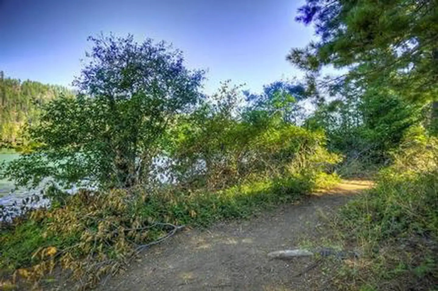 Camper-submitted photo at South Shore Suttle Lake near Sisters, OR