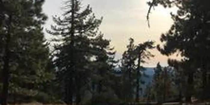 Camper submitted image from Reyes Peak Campground