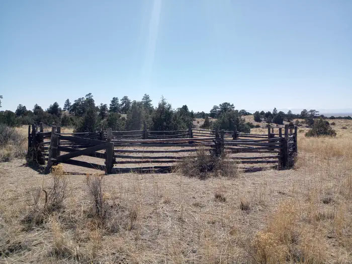 Camper-submitted photo at Duncan Cabin — Rio Grande National Forest near Mosca, CO