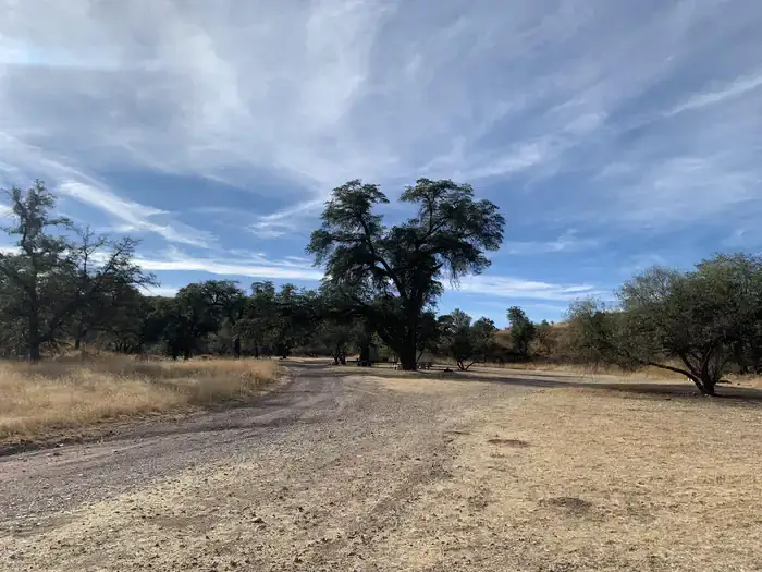 Camper-submitted photo at Calabasas near Nogales, AZ
