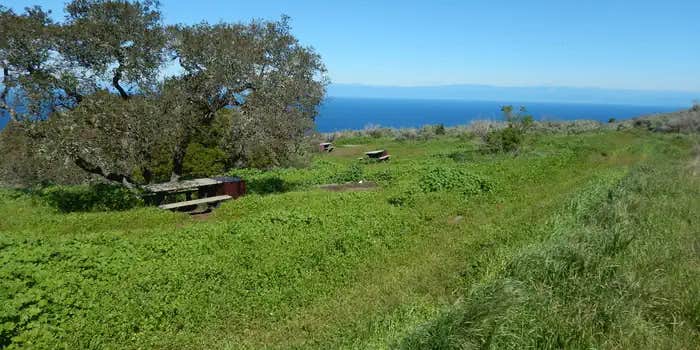 Camper submitted image from Santa Cruz Island - Del Norte Backcountry — Channel Islands National Park