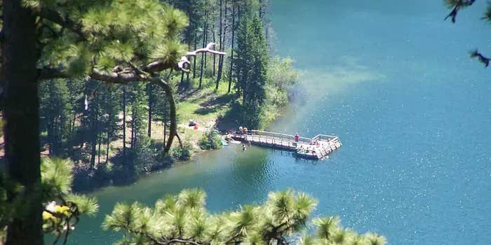 Camper submitted image from Bonaparte Lake Campground