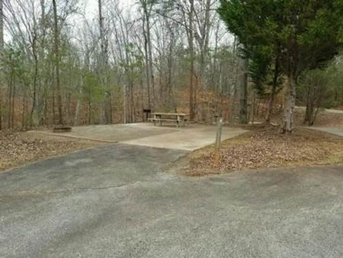 Camper submitted image from Toto Creek Campground - 1