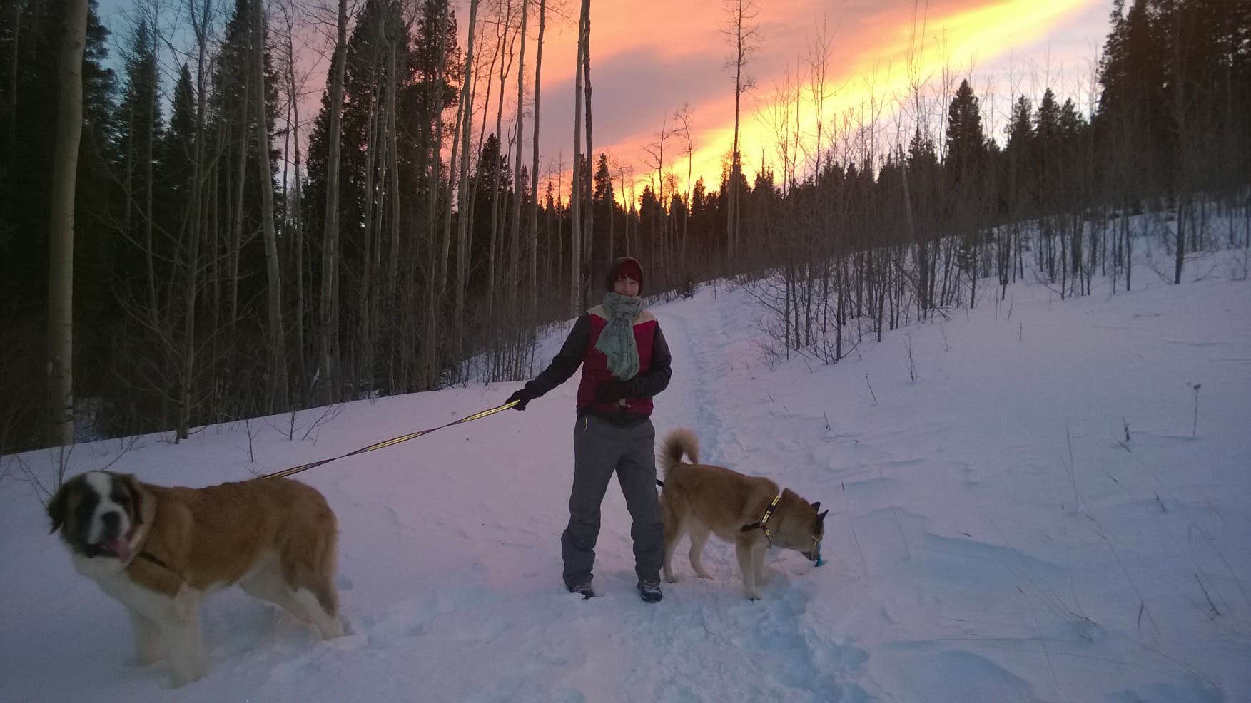 Shasta B.'s photo of camping with pets at Deer Creek Campground — Golden Gate Canyon near Denver, CO