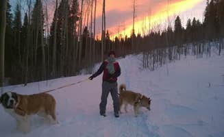 Shasta B.'s photo of camping with pets at Deer Creek Campground — Golden Gate Canyon near Wheat Ridge, CO