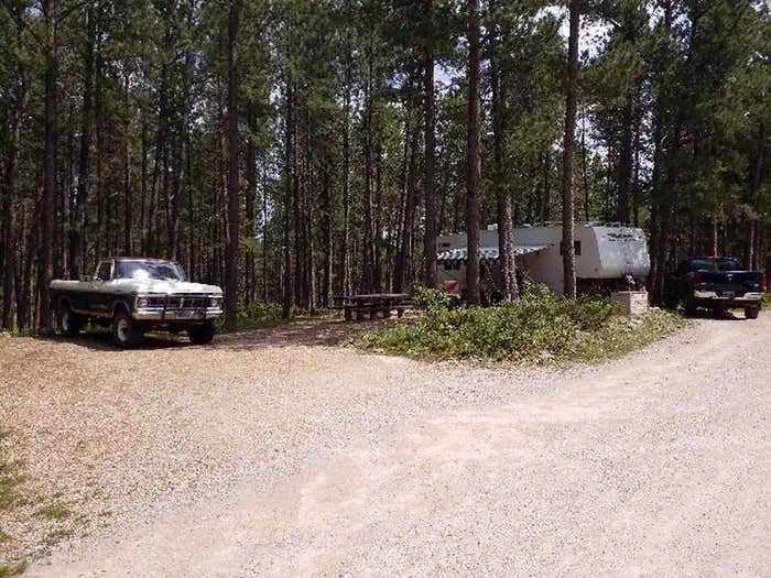 Camper submitted image from Reuter Campground - 1