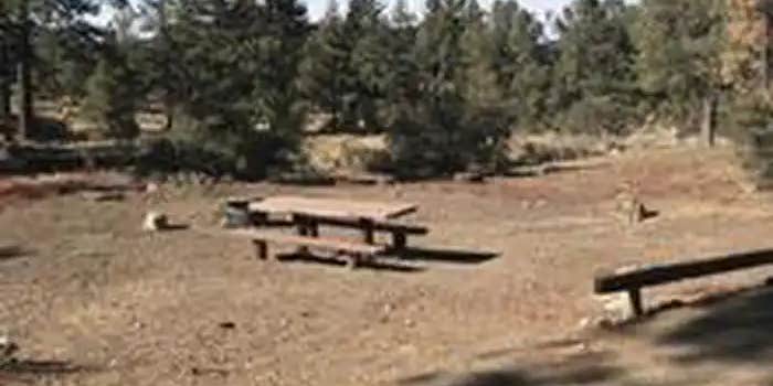 Camper submitted image from Chuchupate Campground