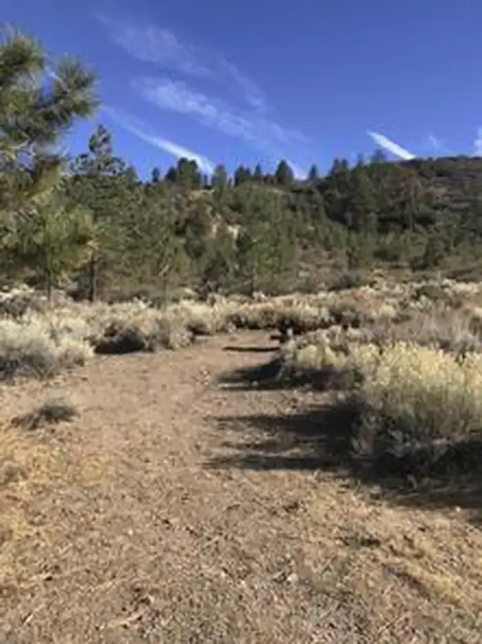 Camper-submitted photo at Chuchupate Campground near Frazier Park, CA