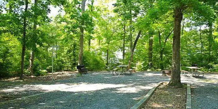 Camper submitted image from Badin Lake Campground
