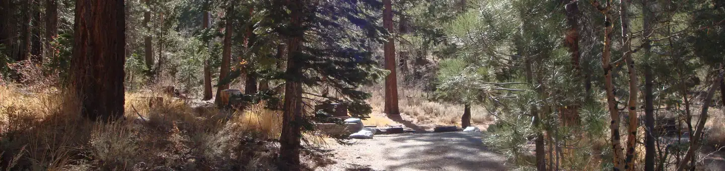 Camping near Hartley Springs Campground: Reversed Creek Campground, June Lake, California