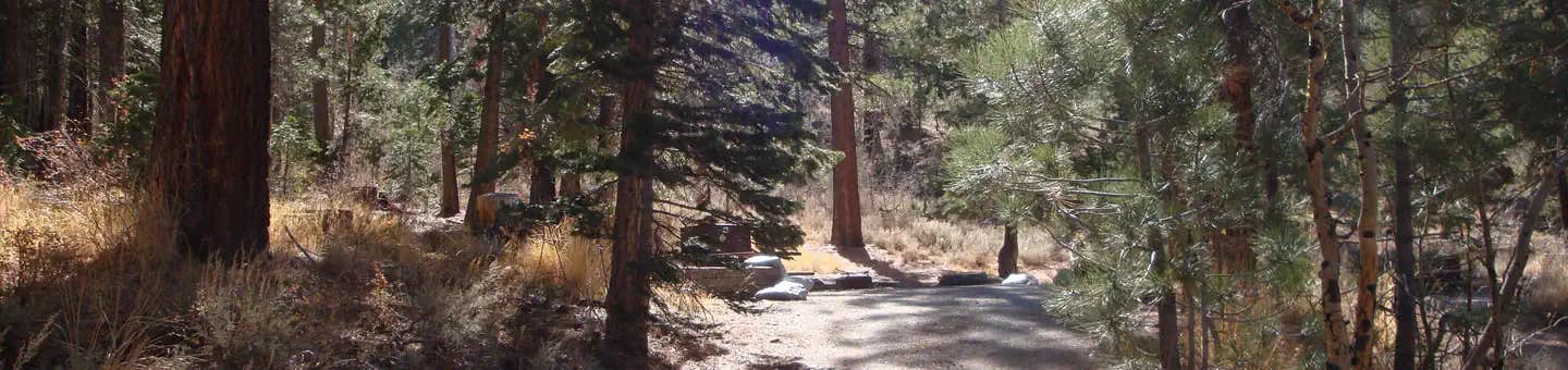 Camper submitted image from Reversed Creek Campground - 1