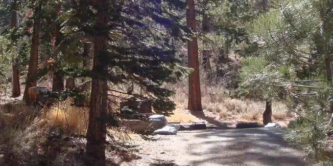 Camper submitted image from Reversed Creek Campground