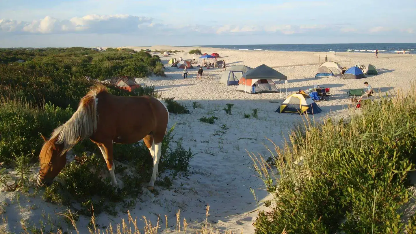 Camper-submitted photo at Bayside Assateague Campground — Assateague Island National Seashore in Maryland