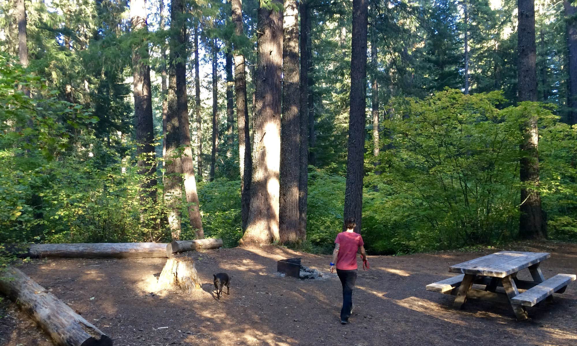 BENDERA138 O.'s photo of camping with pets at Jantzen Beach RV Park near Tigard, OR