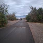 Review photo of Furnace Creek Campground — Death Valley National Park by Mark M., November 28, 2025