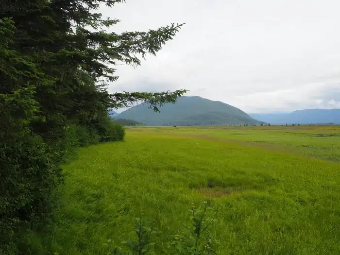 Camper-submitted photo at Little Dry Island Cabin near Petersburg, AK