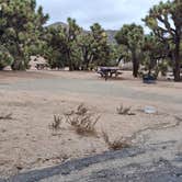 Review photo of Black Rock Campground — Joshua Tree National Park by Mark M., November 28, 2025