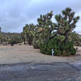 Review photo of Black Rock Campground — Joshua Tree National Park by Mark M., November 28, 2025