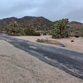 Review photo of Black Rock Campground — Joshua Tree National Park by Mark M., November 28, 2025