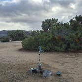 Review photo of Black Rock Campground — Joshua Tree National Park by Mark M., November 28, 2025