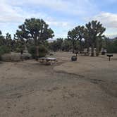 Review photo of Black Rock Campground — Joshua Tree National Park by Mark M., November 28, 2025