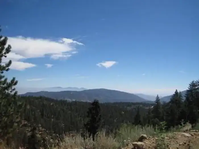 Camping near Bethany Pines: Mcgill Campground And Group Campground, Pine Mountain Club, California