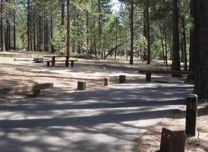 Mcgill Campground And Group Campground