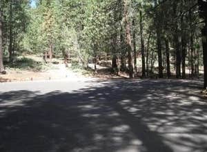 Mcgill Campground And Group Campground