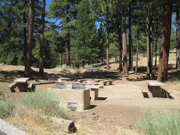 Mcgill Campground And Group Campground