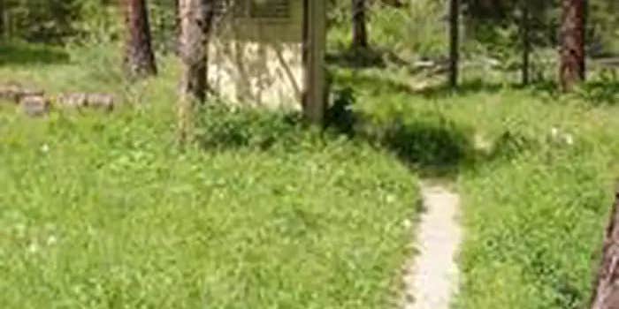 Camper submitted image from Antlers Guard Station Cabin