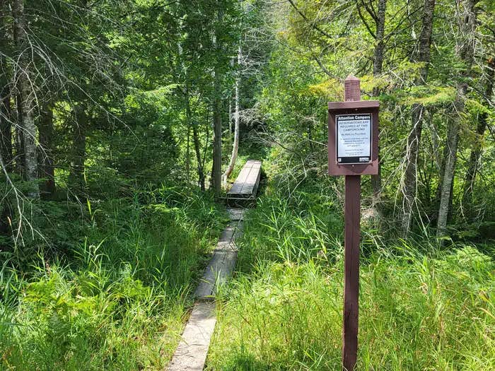 Camper submitted image from Ewing Point Rustic Campsite - 1