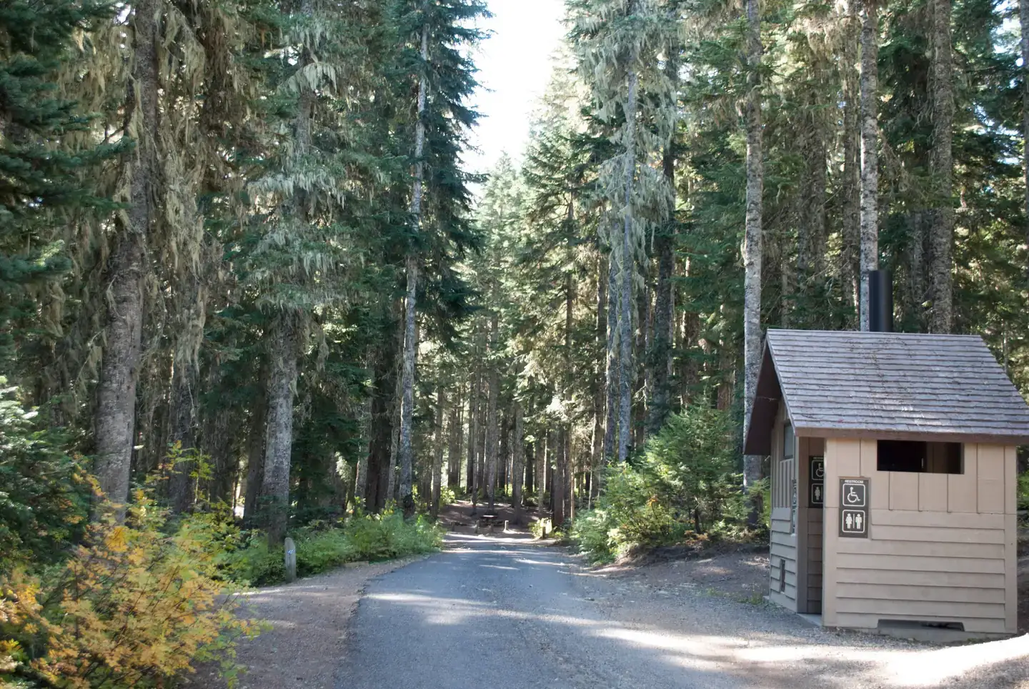 Camper-submitted photo at Takhlakh Lake Campground near Trout Lake, WA
