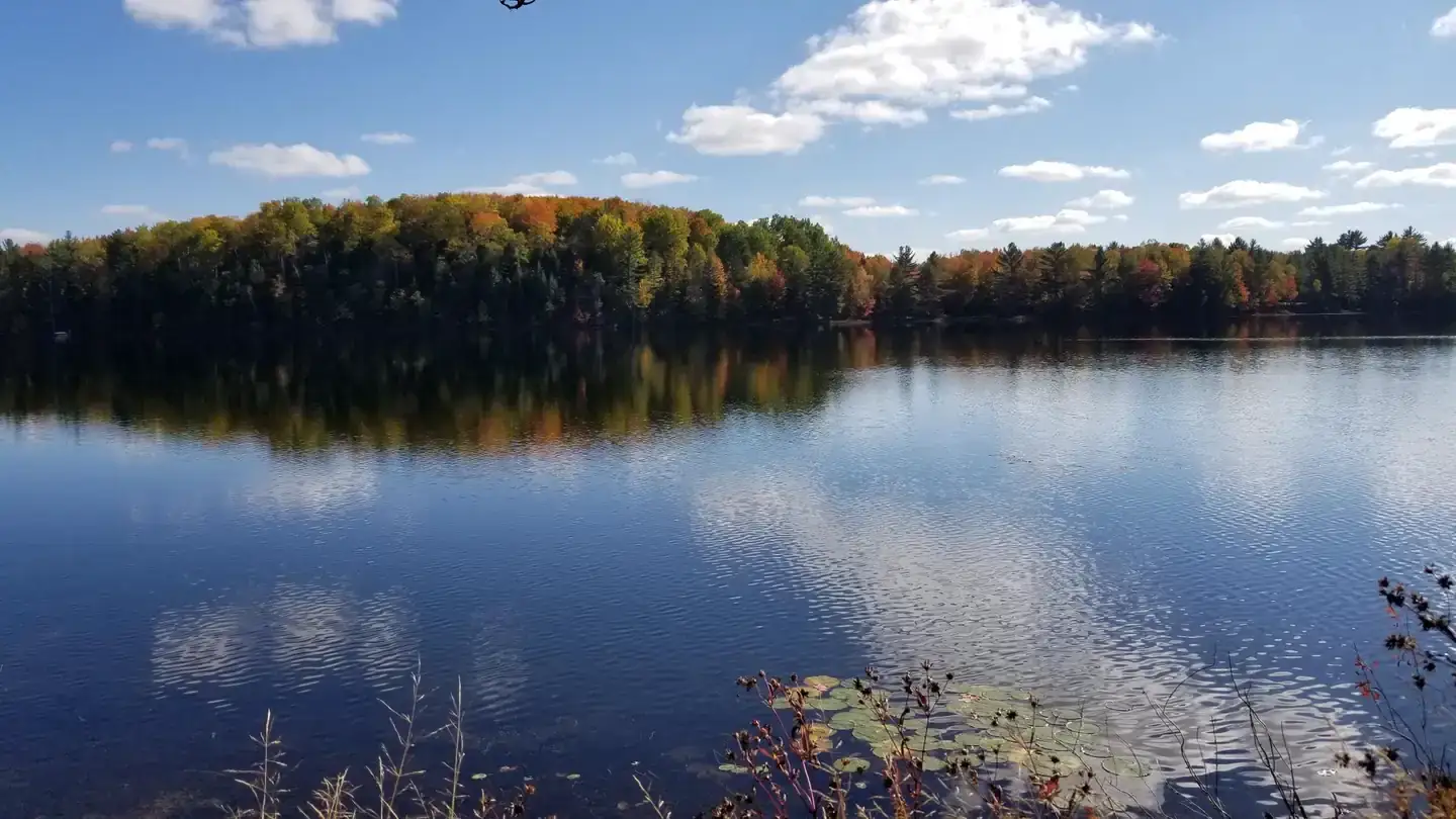 Camper-submitted photo at Ewing Point Rustic Campsite near Nahma, MI