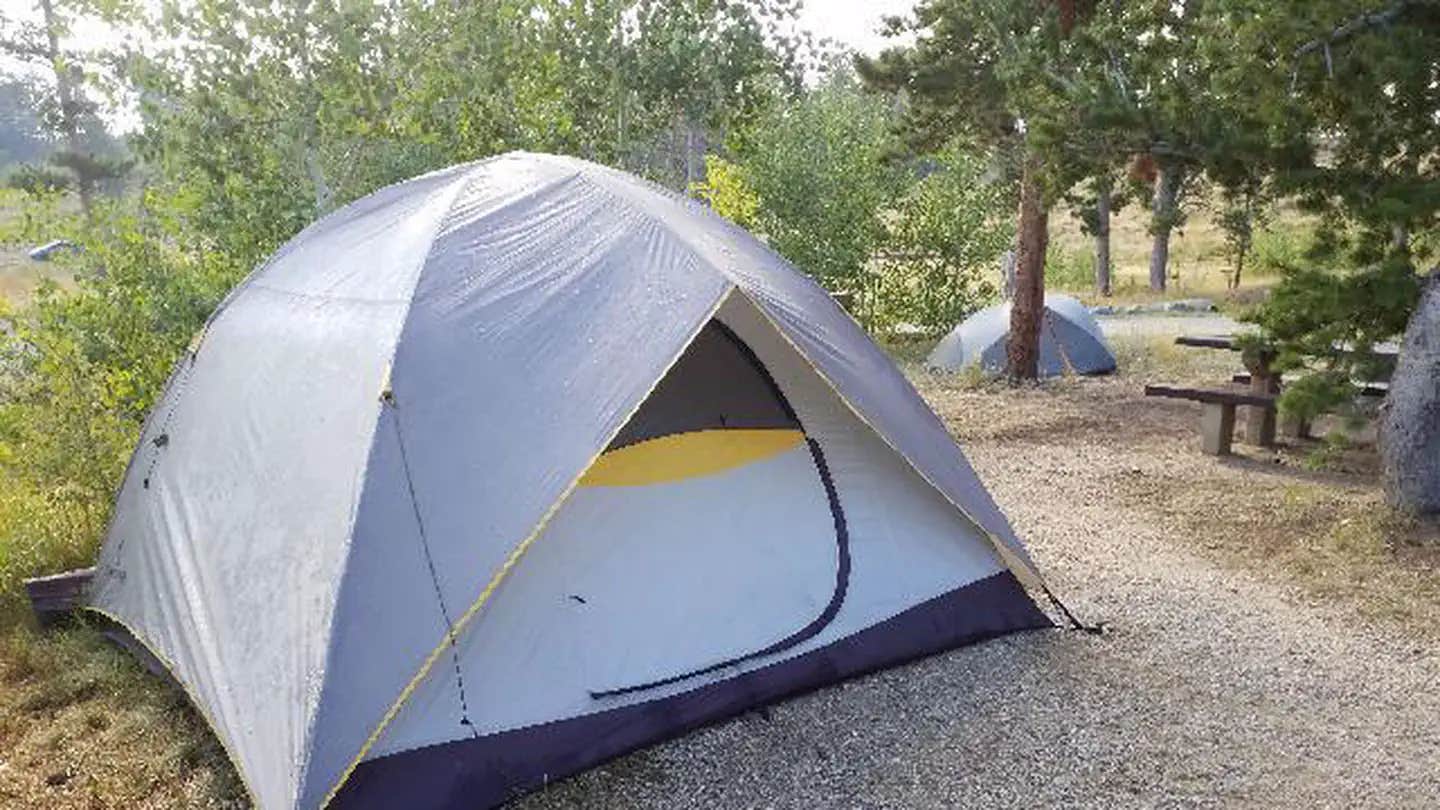 Camper submitted image from Kelly Dahl - 1