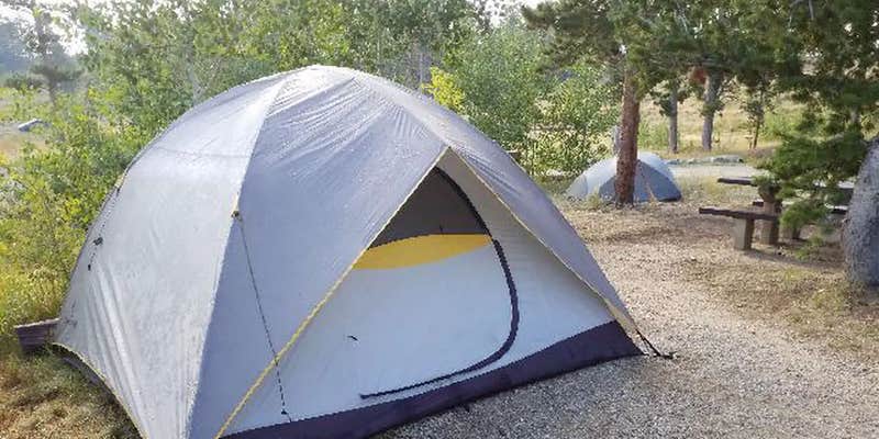 Camper submitted image from Kelly Dahl