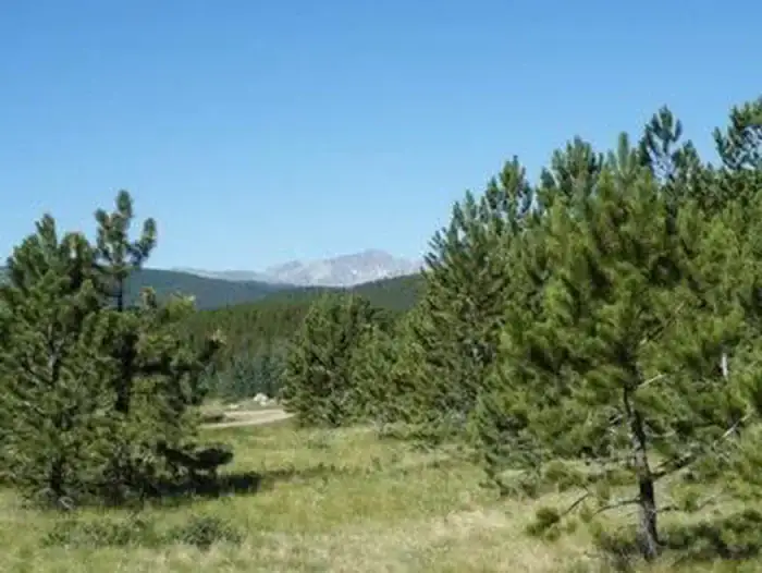 Camper-submitted photo at Kelly Dahl near Black Hawk, CO