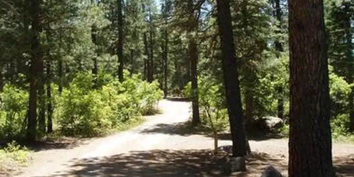 Camper submitted image from East Fork Campground