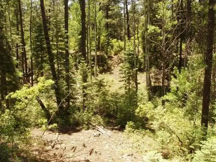 Camper-submitted photo at East Fork Campground near Pagosa Springs, CO
