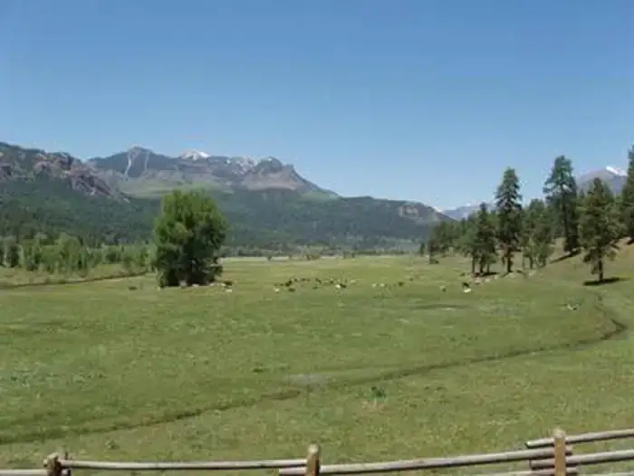 Camper-submitted photo at East Fork Campground near Pagosa Springs, CO