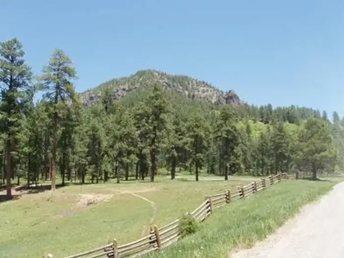 Camper-submitted photo at East Fork Campground near Pagosa Springs, CO