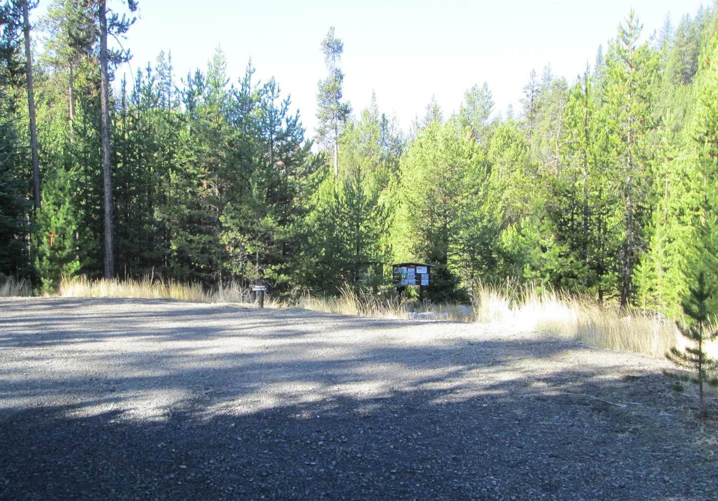 Camper submitted image from North Fork John Day - 1
