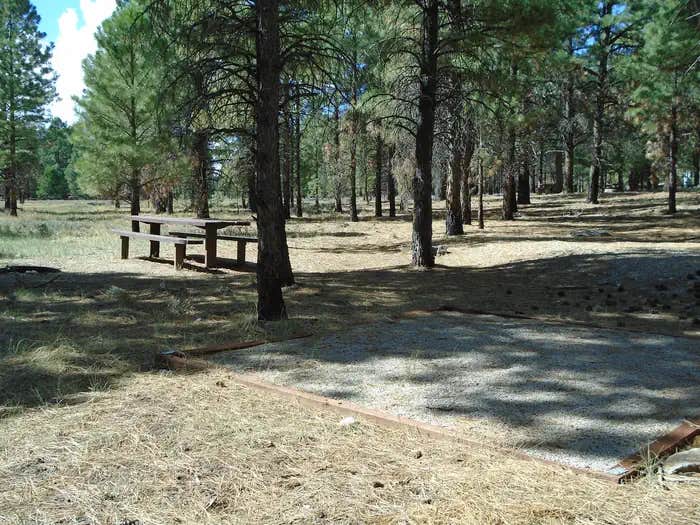 Camper submitted image from Manti-LaSal National Forest Nizhoni Campground - 1