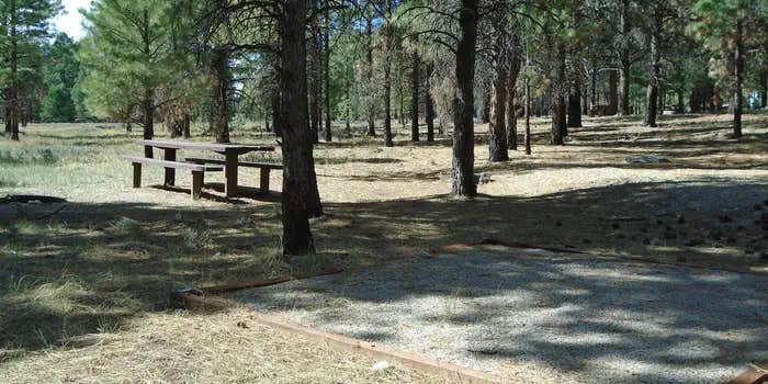 Camper submitted image from Manti-LaSal National Forest Nizhoni Campground